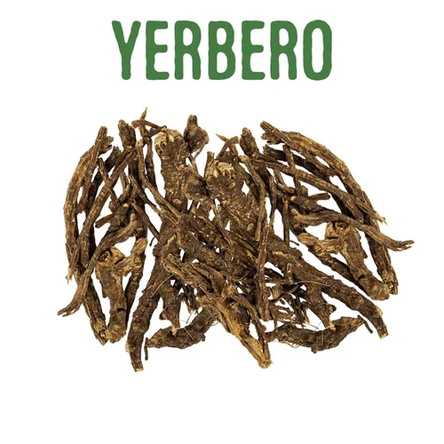 Miniatura 6 de Yerbero - Raíz de Osha 3.5 oz (100 g) Raiz de Chuchupate Ligusticum porteri Zanahoria de montaña, raíz de oso 100% natural Purificación