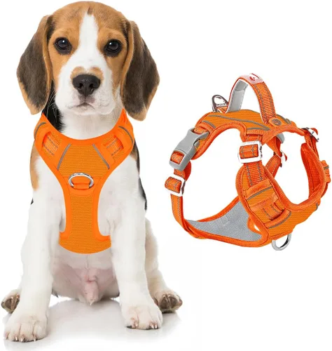 Miniatura 67 de BARKBAY Arnés para perro sin tirones con bolsillo para etiqueta de identificación, resistente, reflectante, fácil control para perros grandes