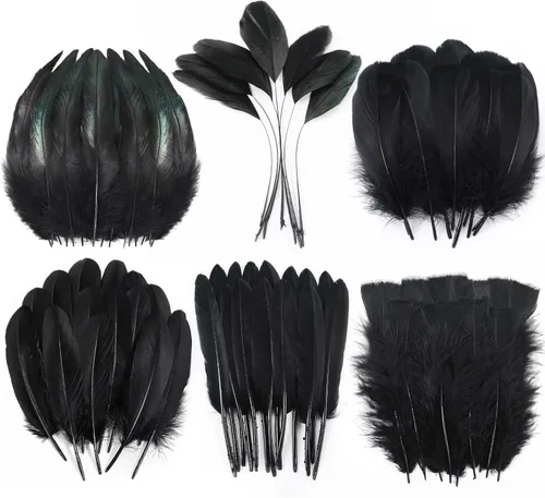 Larryhot Black Craft Feathers - 240 plumas naturales mixtas de 6 estilos para bodas, fiestas en casa, suministros de atrapasueños y manualidades de