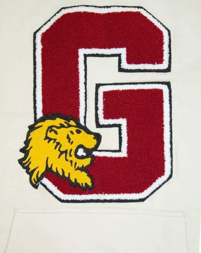 Miniatura 6 de Harry Potter Hogwarts Gryffindor G Patch Logo Premium Sudadera con capucha M, Negro, M