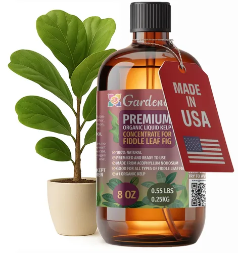 Miniatura 26 de GARDENERA Superalimento orgánico prémium de algas marinas y algas marinas para plantas AGLAONEMA, 8 onzas, concentrado de fertilizante líquido