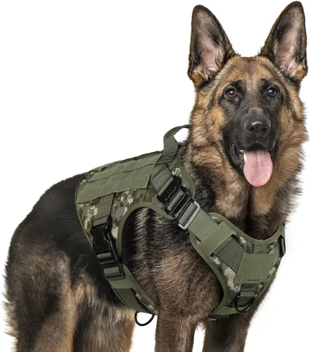 Miniatura 38 de rabbitgoo - Arnés táctico para perros pequeños, arnés resistente para mascotas con asa, chaleco de servicio sin tirones para razas pequeñas, chaleco