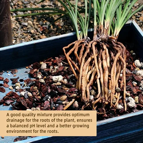Miniatura 3 de Mezcla de suelo para bonsái de 2 cuartos de galón, lava, piedra pómez, corteza de pino y roca calcinada, mezcla orgánica natural para plantas