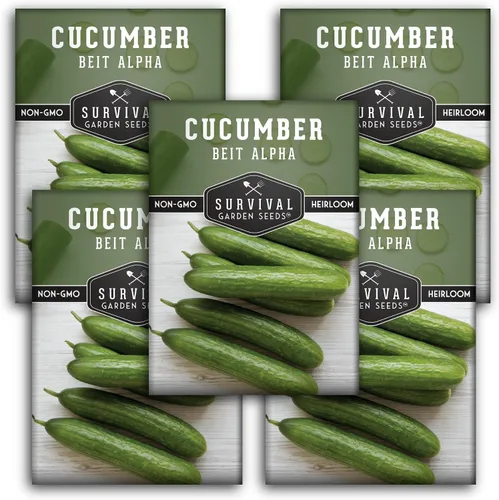 Miniatura 12 de Survival Garden Seeds - Semilla de pepino Beit Alpha para plantar - Paquete con instrucciones para plantar y cultivar pepinos verdes suaves sin