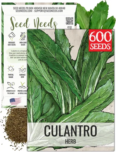 Miniatura 12 de Seed Needs Semillas de culantro para plantar cilantro mexicano, reliquia sin OMG y hierbas culinarias/medicinales no tratadas para cultivar un