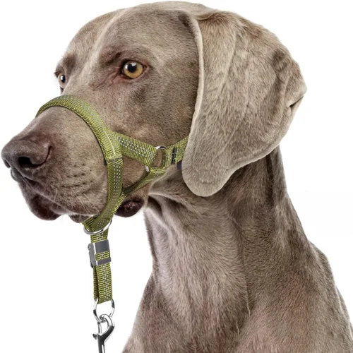 Miniatura 10 de BARKLESS Collar resistente sin tirones para perros medianos y grandes, suave y reflectante con enlace de seguridad, correa de bozal de entrenamiento
