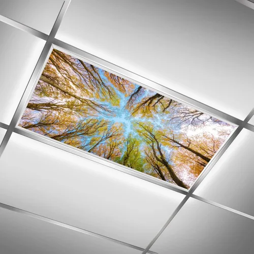 Miniatura 16 de Inserto de Cubierta de Luz de Techo Suspendido 4' x 2' pies (Naturaleza Bosque Hojas de Bambú Sol Verde) - Cubierta de Luz Fluorescente Reduce