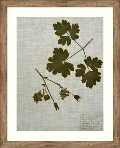 Miniatura 9 de Amanti Art Vision Studio - Lienzo decorativo para pared, 36 x 30 pulgadas, hojas prensadas en lino I por Vision Studio, arte de pared de naturaleza