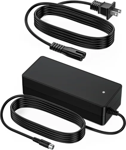 VHBW Cargador eléctrico de 42 V para bicicleta Nakto con enchufe RCA compatible con Nakto 36V Camel Fashion Elegance Pony Mini Cruiser eBike y