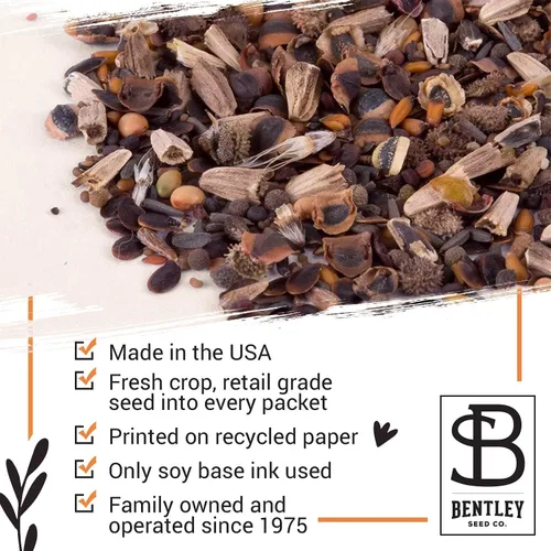 Miniatura 5 de Bentley Seed Co. Paquete de agradecimiento – Mezcla de polinizador de mariposas – 25 paquetes de semillas – Regalo de agradecimiento ecológico