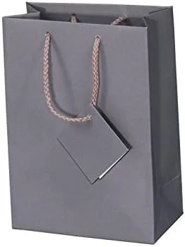 RJ Displays Paquete de 10 bolsas de regalo grandes de papel gris mate con asas, bolsa de compras sólidas, bolsas de regalo de papel para ventas al