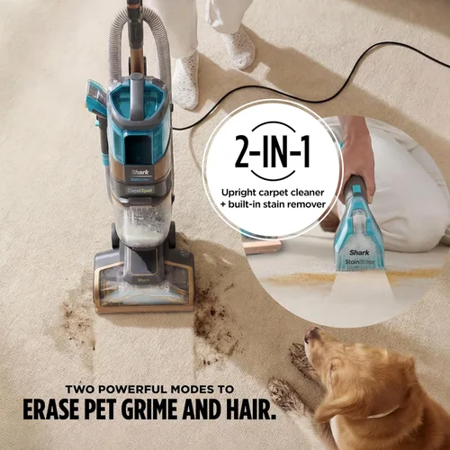 Miniatura 3 de Shark CarpetXpert HairPro con StainStriker, Limpiadora vertical de alfombras, alfombras de área y tapicería, perfecta para mascotas y eliminación