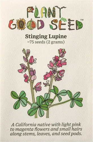 Miniatura 4 de Plant Good Seed Arroyo Blue Lupine Seeds for Planting: California Native Wildflower, Dark Purple Blossoms - Paquete de 60 semillas
