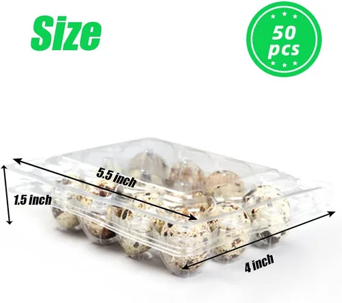 Miniatura 2 de 50 cajas de huevos de codorniz, 12 rejillas de almacenamiento de huevos pequeños, bandejas de cartón a granel para huevos pequeños, codorniz
