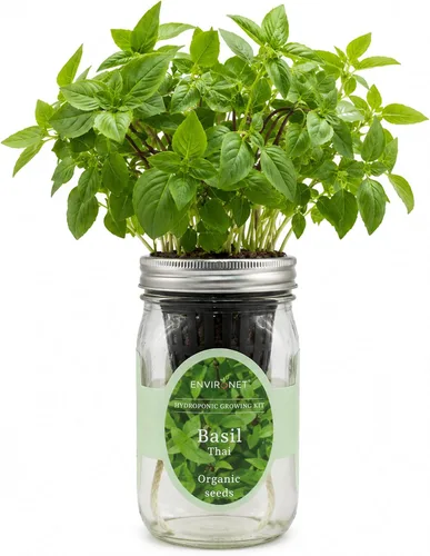 Miniatura 8 de Kit de Cultivo Hidropónico, Kit de Inicio de Jardín de Hierbas en Frasco Mason con Autoriego para Interiores, Jardín de Hierbas para Alféizar