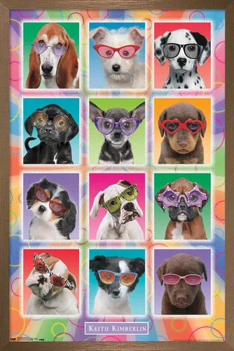 Miniatura 14 de Trends International Keith Kimberlin - Póster de pared con diseño de cachorros, gafas de sol, 14.725 x 22.375 pulgadas, versión enmarcada de madera