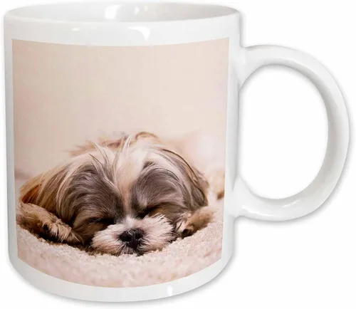 Miniatura 10 de 3dRose Shih Tzu. Durmiendo. Mejor amigo. Taza roja de dos tonos de 11 oz