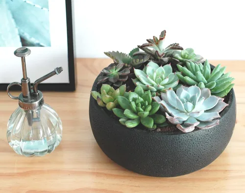 Miniatura 2 de Maceta para suculentas, 8.9 pulgadas, estilo moderno, redondo, de cemento, suculenta, soporte para cactus (negro)