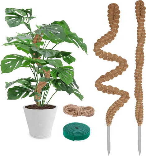 Paquete de 2 postes de musgo de coco de 25 pulgadas para plantas trepadoras de interior, soporte de plantas hecho a mano para enredaderas para