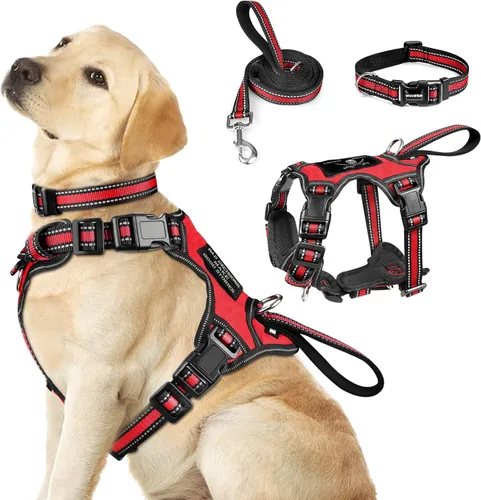 Miniatura 14 de WINSEE - Juego de arnés, collar y correa para mascotas, todo en uno, arnés reflectante para perros sin tirones con hebillas ajustables para Rojo
