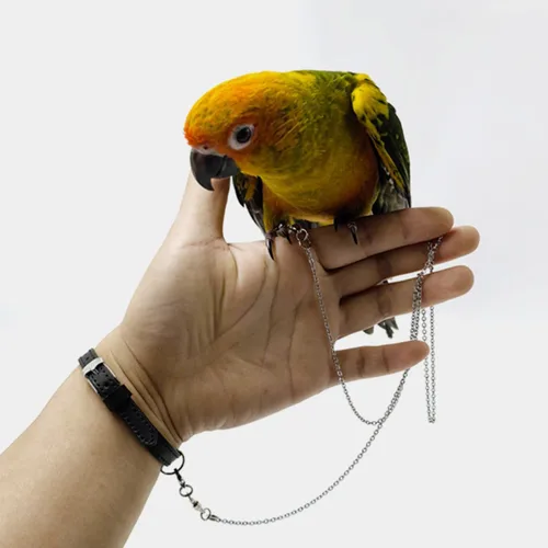 Miniatura 9 de Cadena de pie de pájaro cuerda de entrenamiento de acero inoxidable volador con correa de cuero para muñeca de loro al aire libre, anillo