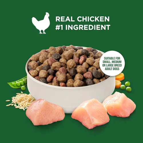 Miniatura 4 de Nutrish Rachael Ray - Comida seca para perros adultos, receta de pollo y verduras reales, bolsa de 5 libras