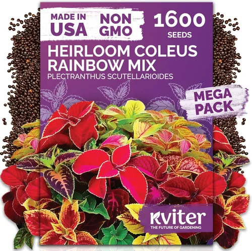 Miniatura 23 de KVITER 25 semillas de algodón blanco para plantar (Gossypium hirsutum) – Planta de algodón real, semillas de algodón para cultivo, semillas