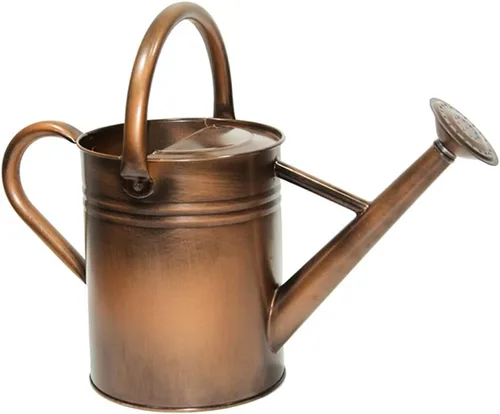 Miniatura 16 de Regadera de metal, latas de riego de un galón de acero inoxidable para riego de plantas de jardín interiores y exteriores (zinc de 1 galón)