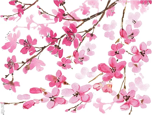 Miniatura 2 de Vaso térmico japonés de flor de cerezo de 24 onzas con tapa Clásico
