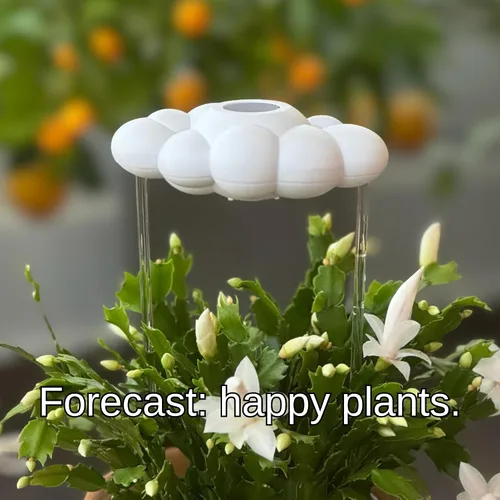 Miniatura 5 de La Nube Original de Lluvia Goteante para Plantas, Nube de Lluvia para Riego de Plantas, Regalos para Amantes de las Plantas, Regalos para Mujeres