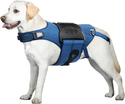 Miniatura 9 de Soporte de espalda para perro para IVDD, artritis, discos deslizados y herniados - Proporciona apoyo para la espalda y alivio del dolor, estabiliza