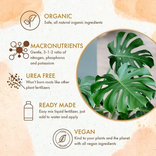 Miniatura 3 de Monstera Plant Food - Fertilizante líquido orgánico para plantas Monstera de interior y exterior, nutrientes para hojas tropicales saludables