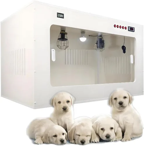 Incubator for Puppies and Kittens, Incubator for Puppies, Incubator for Kittens, Incubator for Puppies, Real-time Display, Independent Switch Blanco