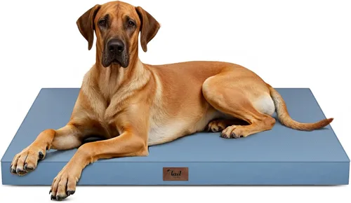 Miniatura 18 de Cama ortopédica de felpa para perros y cachorros medianos, camas impermeables para perros de 30 x 20 pulgadas con funda extraíble lavable, tapete