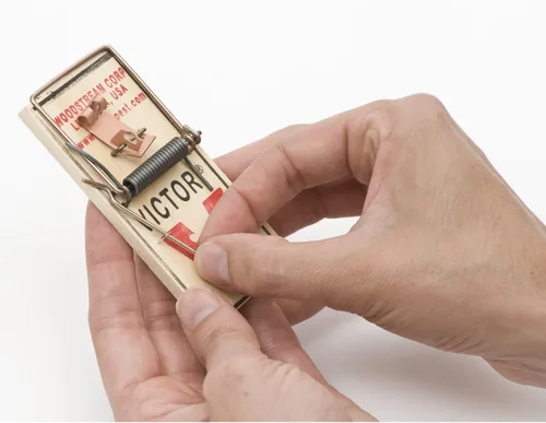 Miniatura 3 de Victor M023 - Trampa de metal para ratones con pedales, color marrón, 2 unidades (paquete de 1)