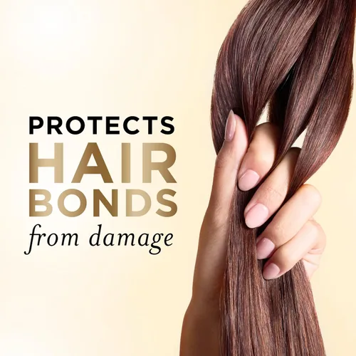Miniatura 3 de Pantene Champú y acondicionador 2 en 1, renovación diaria de la humedad, nutrientes Pro-V para cabello seco, tratado con color, lacio a rizado