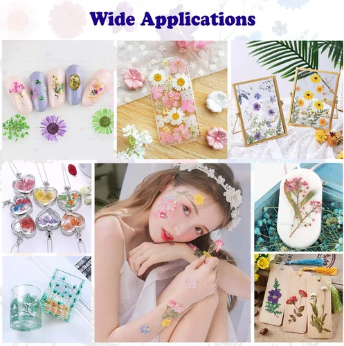 Miniatura 4 de 90 piezas de flores secas prensadas grandes para moldes de resina, flores naturales reales surtidas, pétalos de hojas para manualidades, joyas