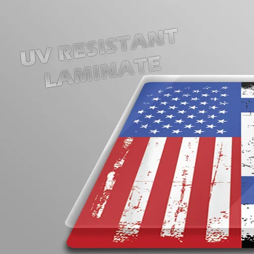 Miniatura 6 de Adhesivos de vinilo para defensores y aliados (Estados Unidos e Israel)