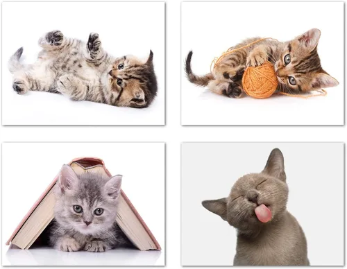 Tarjetas divertidas de gatito, paquete de 12 tarjetas divertidas de notas de gato con sobres, 4 divertidos diseños de fotos, interior en blanco,