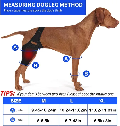 Miniatura 7 de Rodillera para perro, soporte ajustable para piernas de perro para desgarro del ligamento cruzado anterior, dolor de articulaciones, dolor muscular