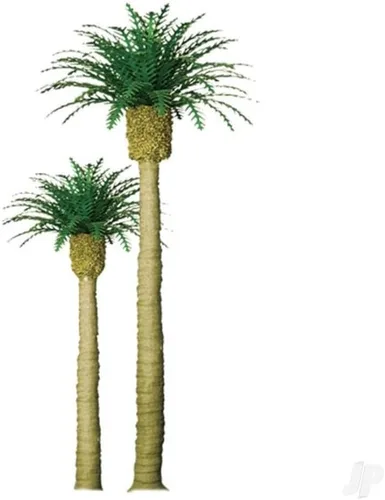 Miniatura 2 de Serie profesional: Phoenix Palm, 4