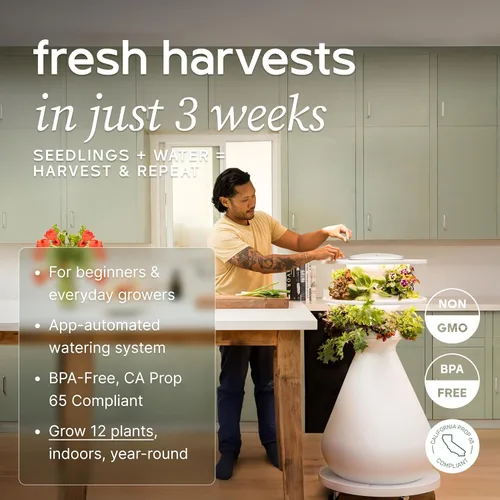 Miniatura 2 de Kit de inicio Lettuce Grow Farmstand con anillos luminosos y 12 créditos para plántulas Pequeño kit de sistema de cultivo hidropónico Torre