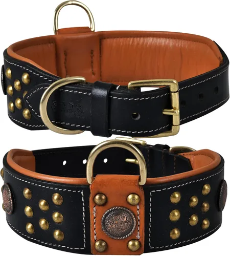 Miniatura 9 de Collar de perro de la serie 'Cupola' de cuero genuino, conchos celtas y remaches de cúpula dorada, acolchado suave, hecho a mano, ideal para razas