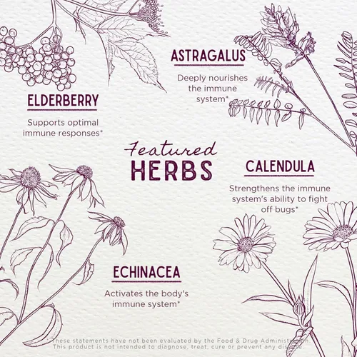 Miniatura 4 de WishGarden Herbs Daily Immune para niños, saúco orgánico y equinácea, tónico diario de apoyo inmunológico para niños, tintura herbaria líquida, sin