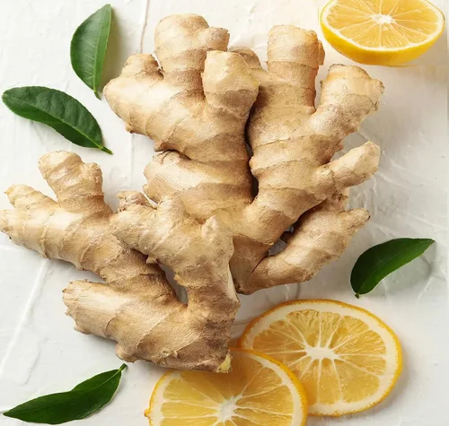 FRESH HIMALAYAS Raíces de jengibre fresco orgánico 2 libras Snow Hill Himalayan Ginger - Producto del monte Everest Country, Nepal - Entrega de