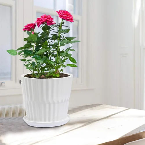 Miniatura 6 de sietpoek Macetas – Macetas cilíndricas de cerámica de 6.7 pulgadas con platillo conectado, macetas para plantas Succuelnt y pequeñas serpientes