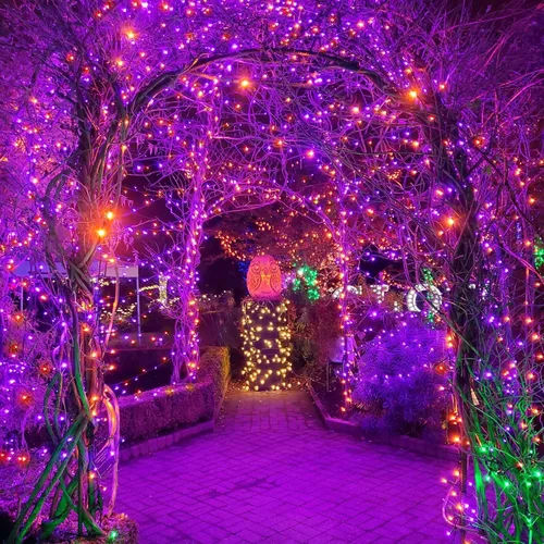 Miniatura 6 de weillsnow Luces de Halloween Moradas y Naranjas, 200 LED 66 Pies con Enchufe Luces de Cadena de Halloween Impermeables, 8 Modos con Memoria