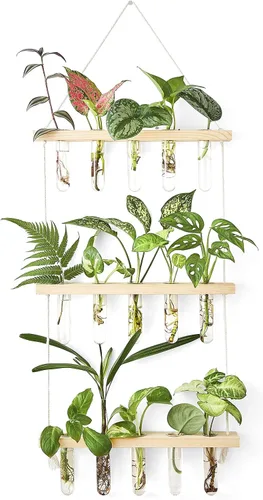 Mkono Terrario para colgar en la pared de 3 niveles con soporte de madera, maceta de vidrio para corte de plantas hidropónicas, decoración de Beige