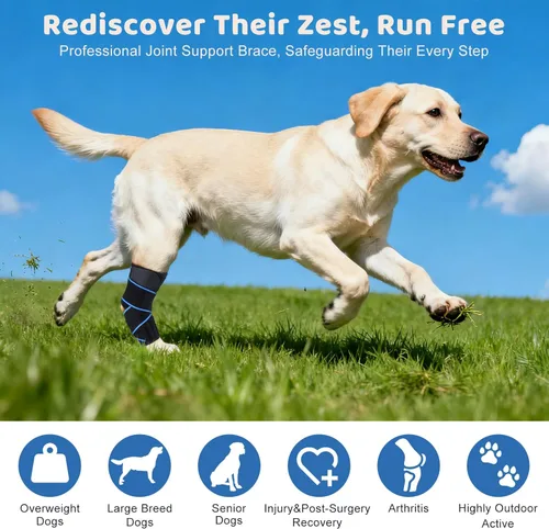 Miniatura 2 de Rodillera para perro para soporte de pierna trasera, soporte de compresión de articulación de hockey ACL para patas traseras, soporte estabilizador