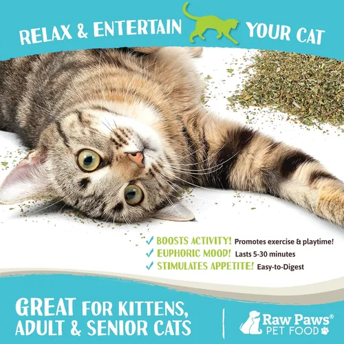 Miniatura 3 de Raw Paws Hierba Gatera Fresca para Gatos, 1-oz (2 Tazas) - Uso para Juguetes de Hierba Gatera Recargables para Gatos - Hierba Gatera Seca Natural